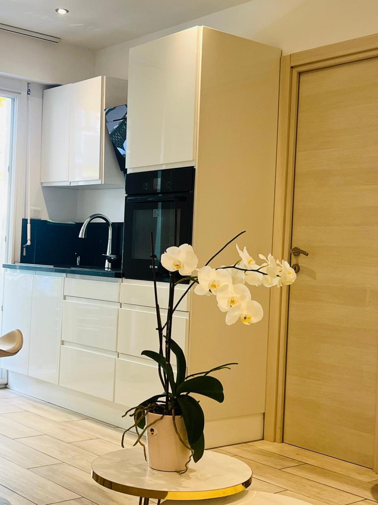 Apartment Palladium Palais Des Festivals